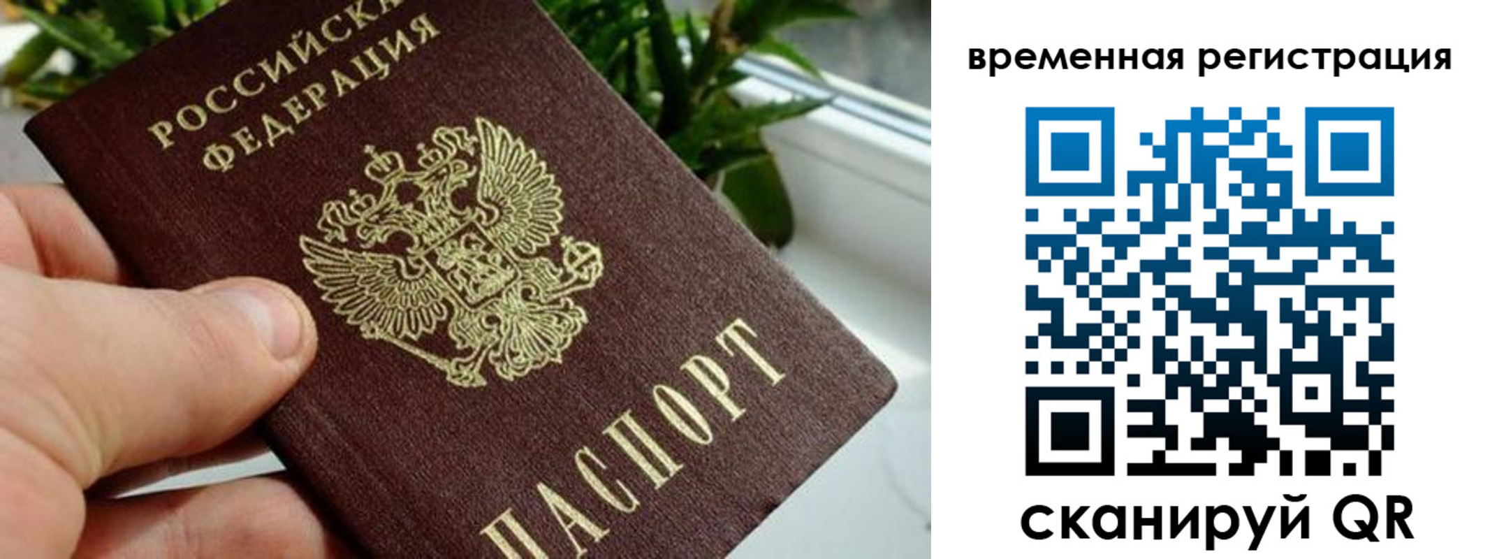 прописка поиск в Липецкая области